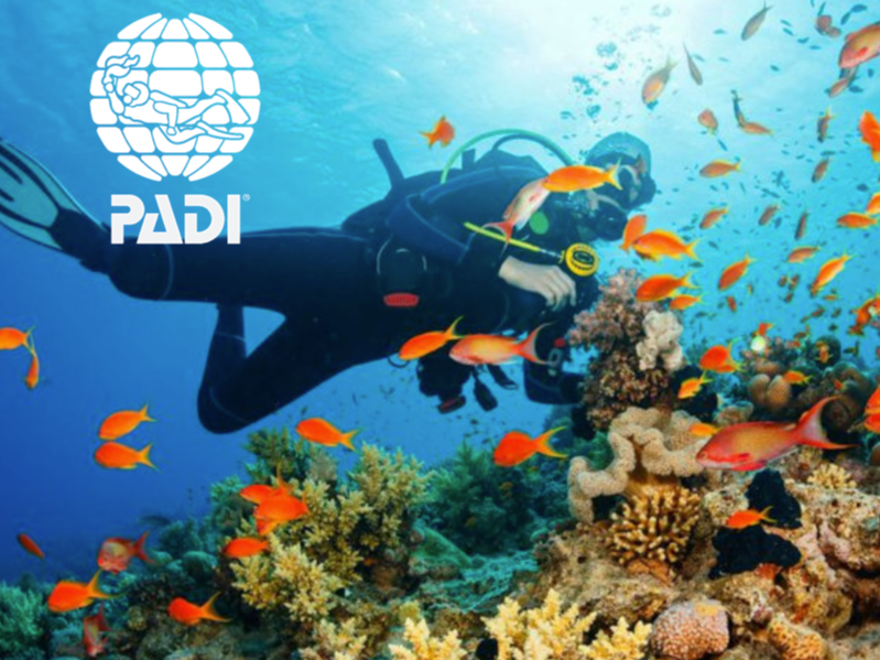 ScubaDiving
